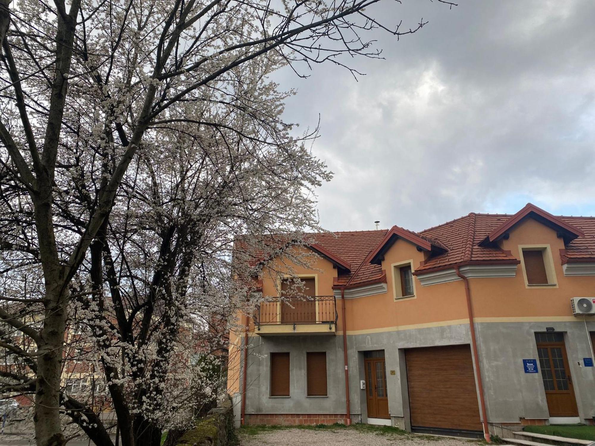 Apartman Galerija Ogulin Esterno foto